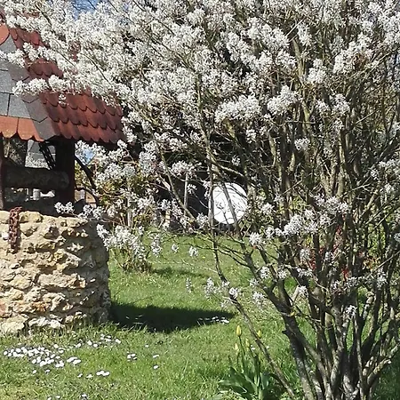Maison En Bois Avec Jardin, Ideal Randonnee, Fibre Debit, Equipements Bebe Pres Du Mans Et Tours - Fr-1-410-195 Tatil Evi Thoiré-sur-Dinan