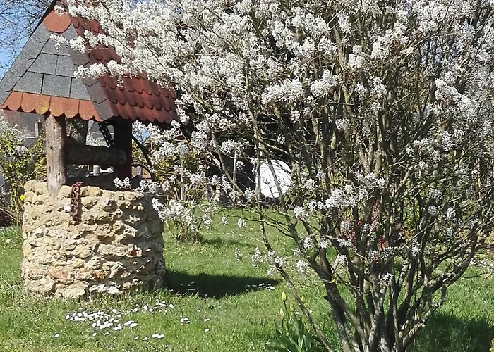 Maison En Bois Avec Jardin, Ideal Randonnee, Fibre Debit, Equipements Bebe Pres Du Mans Et Tours - Fr-1-410-195 Semesterbostad Thoiré-sur-Dinan